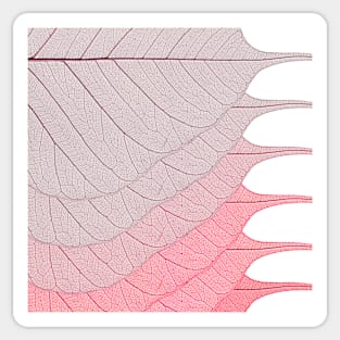 Red Leaves Sticker